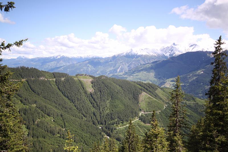 AUS31052009 (140).jpg